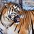 Judith Latalladi's profile image