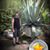 Johannes Pot's profile image