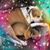Joseph Rocchio's profile image