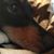 Nell Clayman's profile image