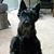 Janice Larson Ricker's profile image