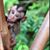 Tim StOnge's profile image