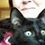 MaryAnn Housley's profile image
