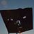 Thomas Archibald's profile image