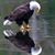 Rick Hartley's profile image