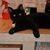 Joan Grove Routson's profile image
