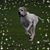 Vicki McGwire's profile image