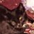 Anna Andrews's profile image
