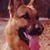 Машенька Окунева's profile image