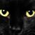 Richard Ruffner's profile image