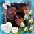 Dan Dohms's profile image