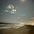 Mona Lu Latta's profile image