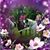 Jonna Loness Delp's profile image