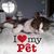 Donna Cefali's profile image