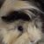 Elisa Muciño's profile image