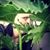 Robin Jellema's profile image