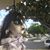 Carrie Bain's profile image
