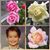 Cidalia Cavaco's profile image