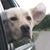 Todd Liebenow's profile image