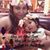 Tere Martinez's profile image