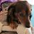 Karen Rodenbaugh's profile image