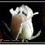Claudia Miranda's profile image