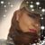 Lorie Cherny's profile image