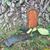 Nancy Proulx's profile image
