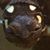 Andy Giesa's profile image