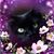 Melissa Orzol's profile image