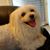 Christine Crisp's profile image