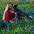 Cindy Gimmestad's profile image