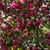 Rosemary Putzke's profile image