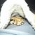 Luanne Smith's profile image