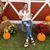 Mara Elizabeth's profile image