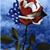 Leslie N Rob Kennicott's profile image