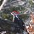 Rhonda Robson Longgrear's profile image
