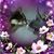 Marie Howard's profile image