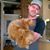 Josh Johnson's profile image