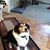 Lorraine Hegamyer's profile image