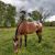 Wendy Basinger's profile image