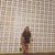Nicole Halbeisen Keller's profile image
