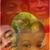 Sharita Chante's profile image