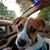 Jessie Herrington's profile image