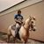Scott Bilot's profile image