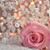 Oum Mouhamed Khadidja's profile image