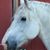 Lynda Robertson's profile image