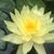 Patty Rainear Kunes's profile image