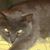 Beth Trickett's profile image