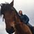 Doug Chapin's profile image